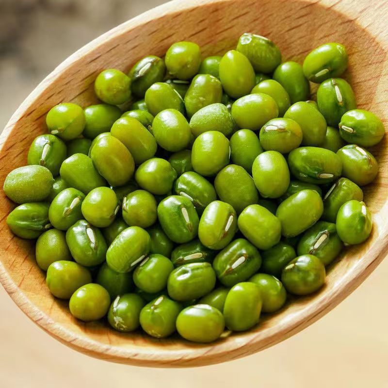Đậu xanh to mới, đậu tươi, dễ nấu cháo, thơm ngon, hạt chắc, mềm bùi dễ ăn.