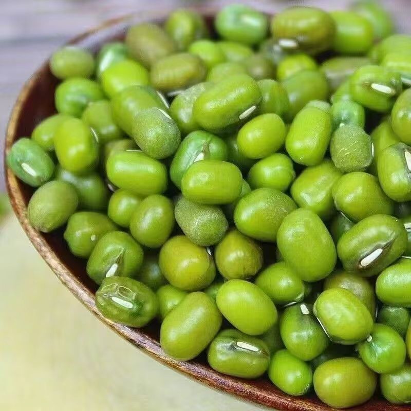 Đậu xanh to mới, đậu tươi, dễ nấu cháo, thơm ngon, hạt chắc, mềm bùi dễ ăn.